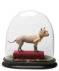 The World's Little Smallest Dog - image 1