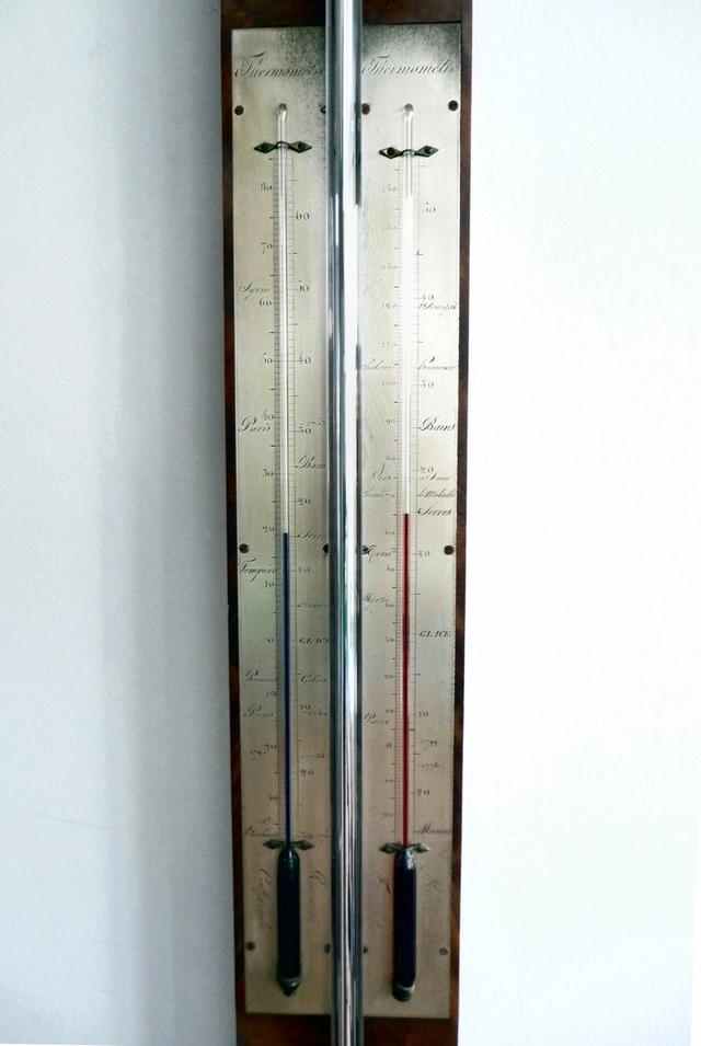 Franse Stickbarometer circa 1830 gesigneerd  Vincent CHEVALIER ainé, Parijs - afbeelding 4