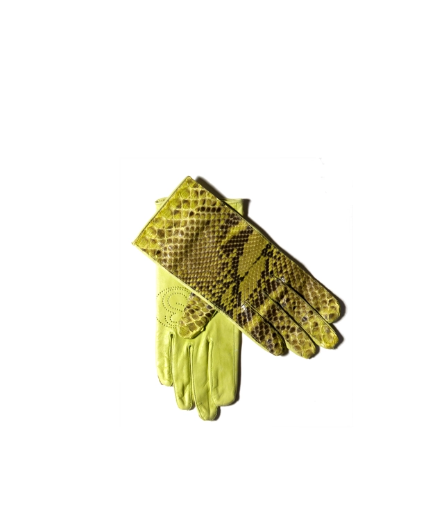 Stephan Badal Handschoenen in Groen Python Leer