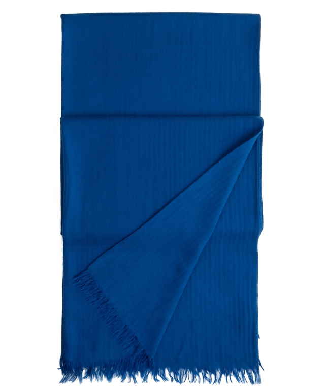 Hermès Cashmere - Wool  H Fringe Scarf