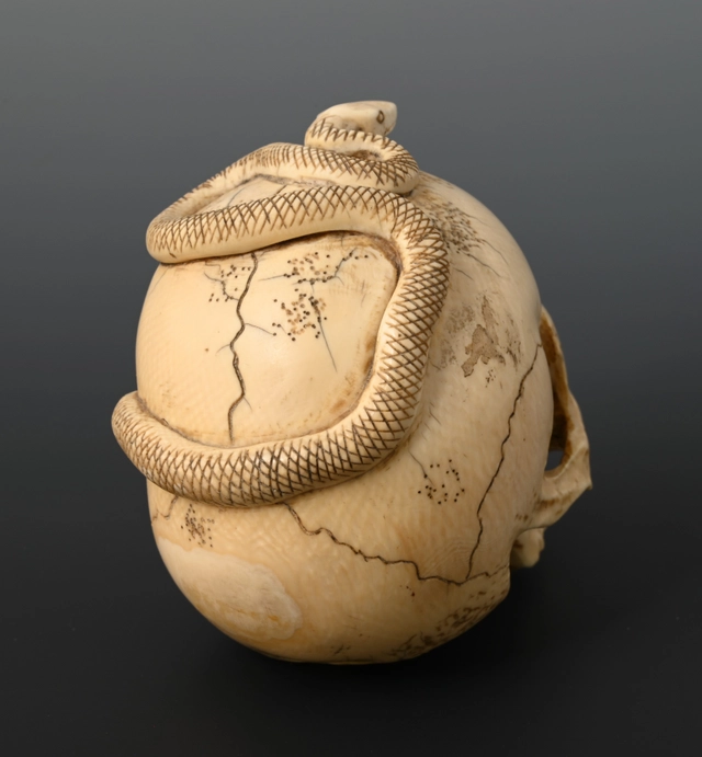 Eine japanische Elfenbeinschädel - afbeelding 5