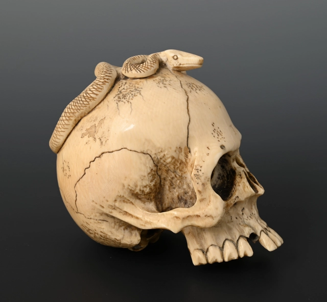Eine japanische Elfenbeinschädel - afbeelding 3