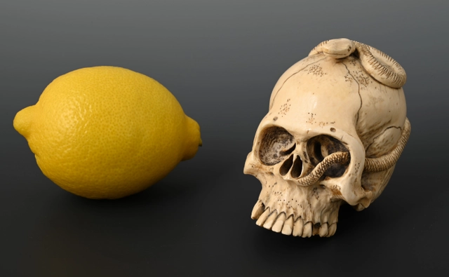 Eine japanische Elfenbeinschädel - afbeelding 2