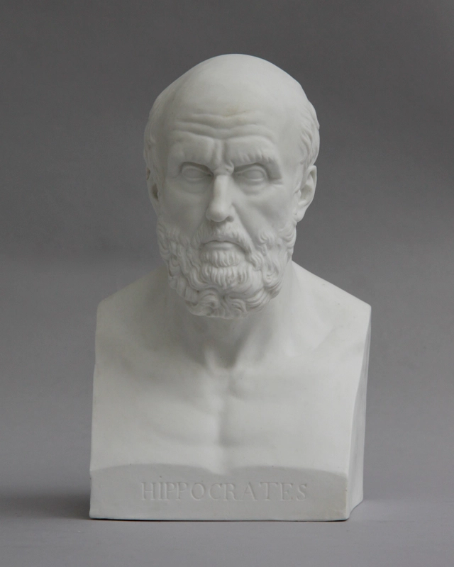 Sèvres buste Hippocrates - afbeelding 2