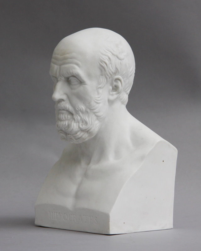 Sèvres buste Hippocrates - afbeelding 3