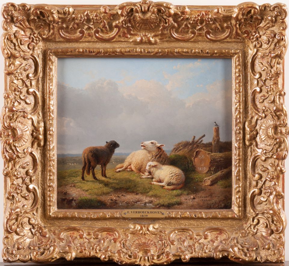Dutch landscape with sheep - image 2