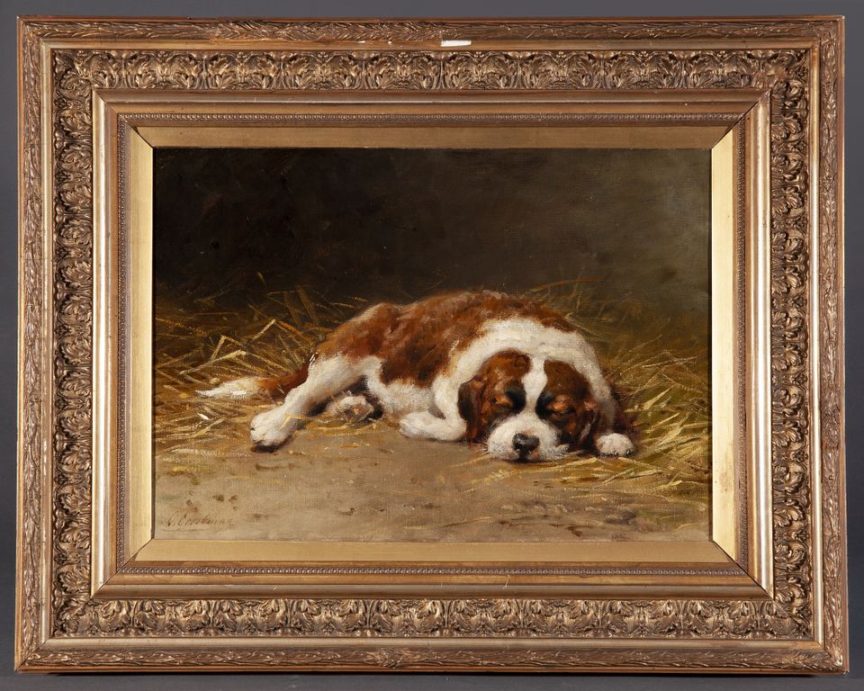 Sleeping Saint Bernard puppy - image 2