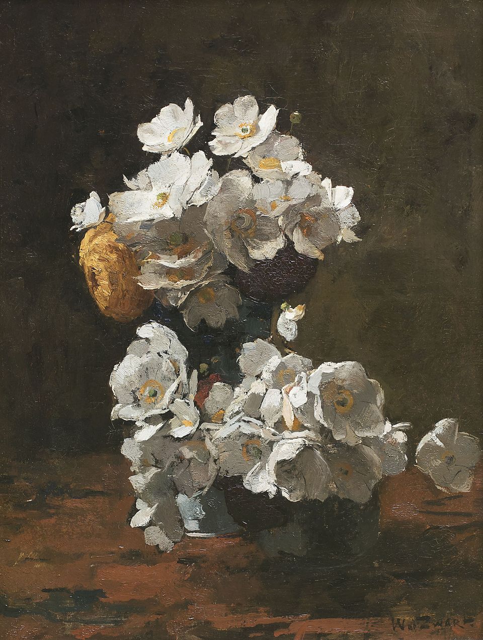 Anemones - image 2