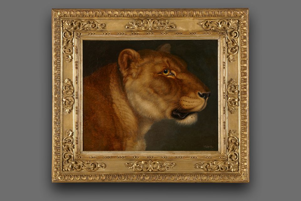 Johann Wenzel Peter (1745-1829), study of a lioness - image 2