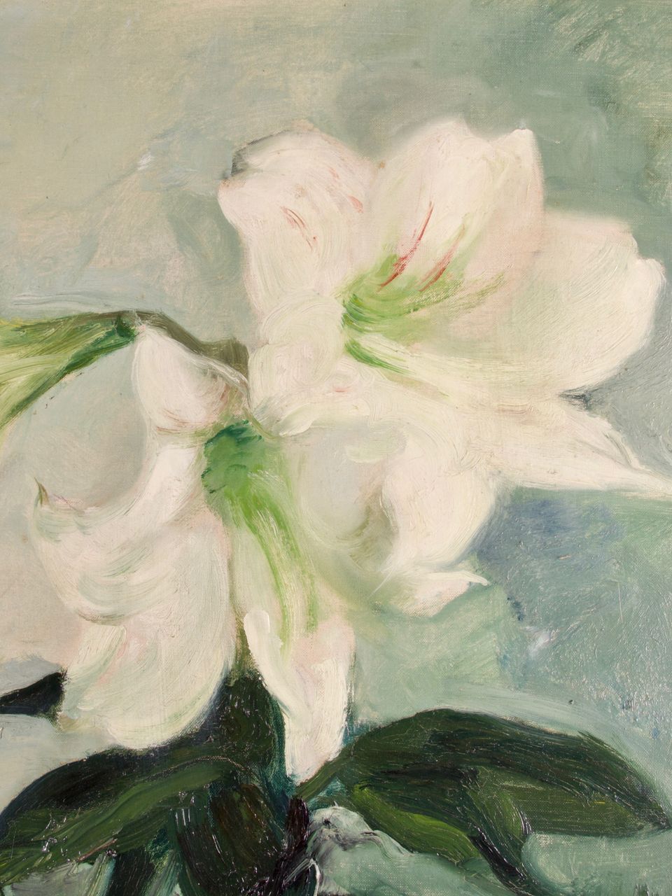 Petrus Theodorus (Piet) van Wijngaerdt, 'Roode en Witte Amaryllis', olieverf op doek, ca. 1925 - afbeelding 5