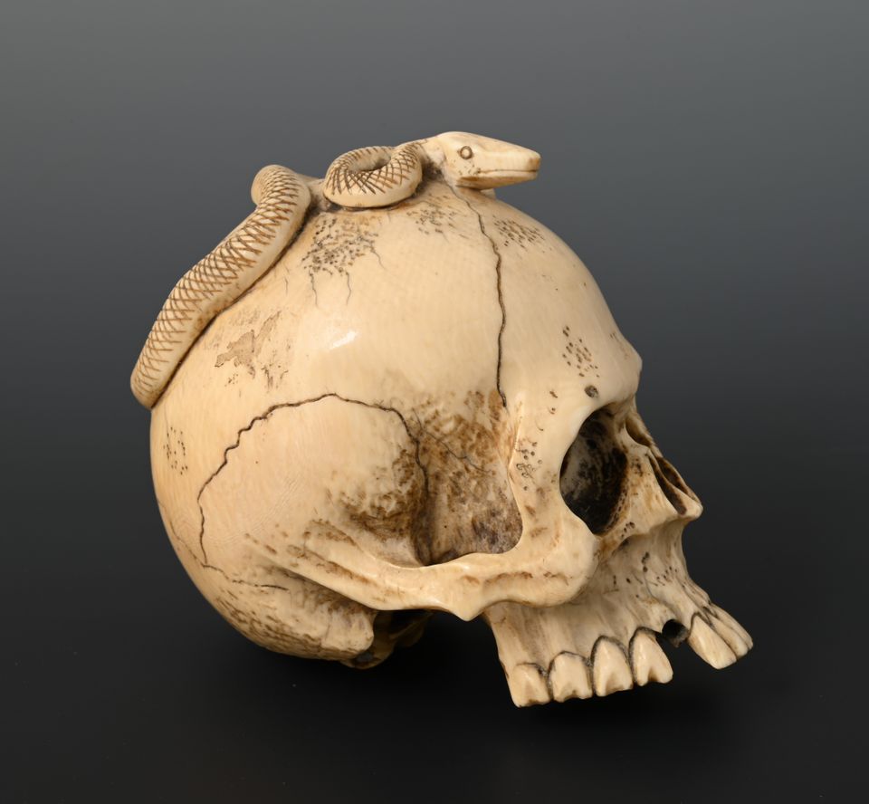 A Japanese ivory skull - image 3