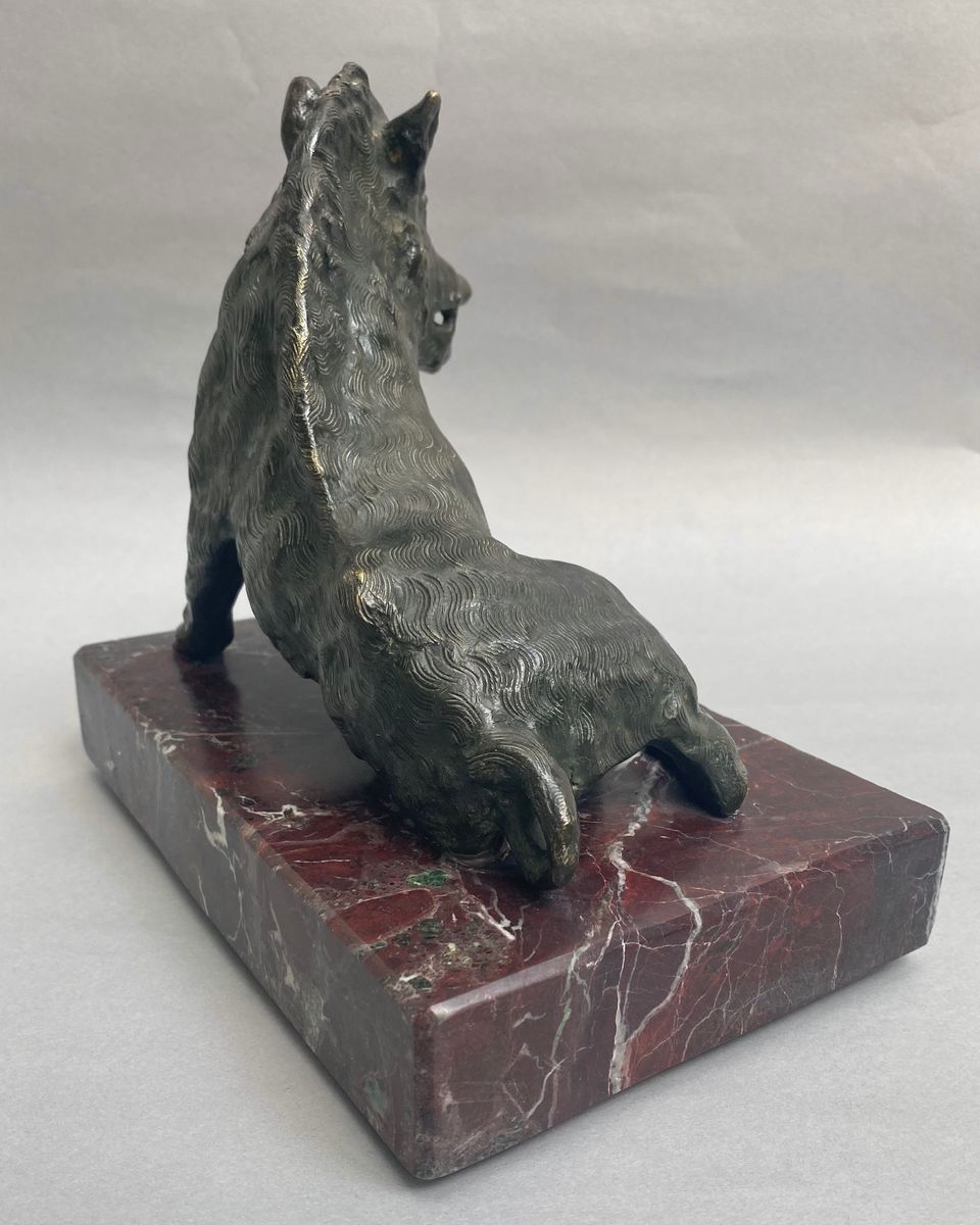 Il Porcellino - image 3