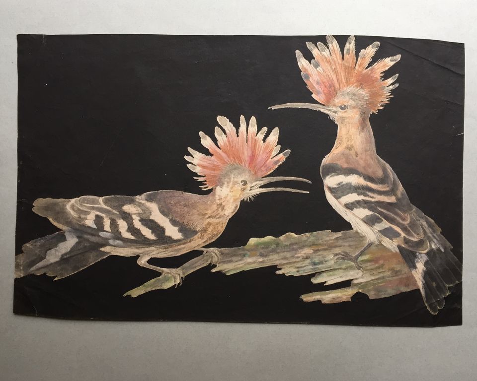 Eight drawings of birds - image 8