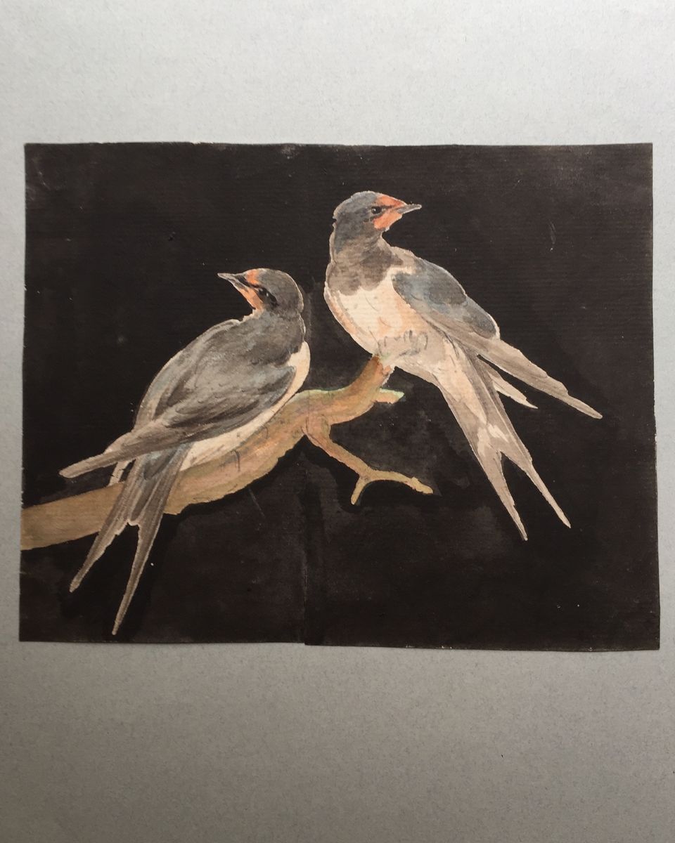 Eight drawings of birds - image 4