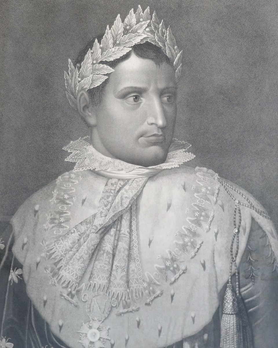 Napoleon in coronation robes - image 2