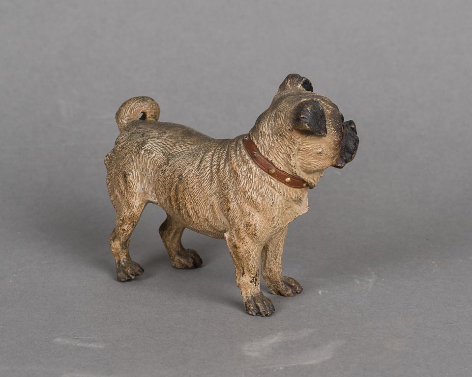 A beautiful Austrian cold painted 'Vienna Bronze' of a pug dog, circa 1890 - image 4