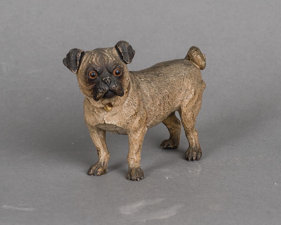 A beautiful Austrian cold painted 'Vienna Bronze' of a pug dog, circa 1890 - image 2