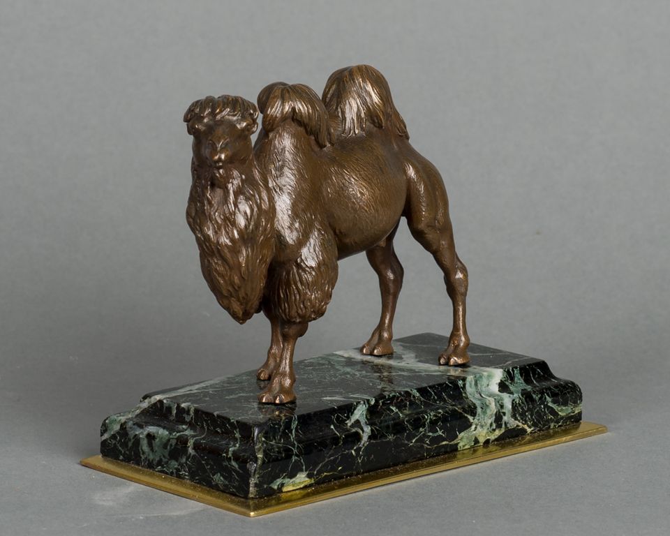 An unusual French camel bronze circa 1860 - afbeelding 2