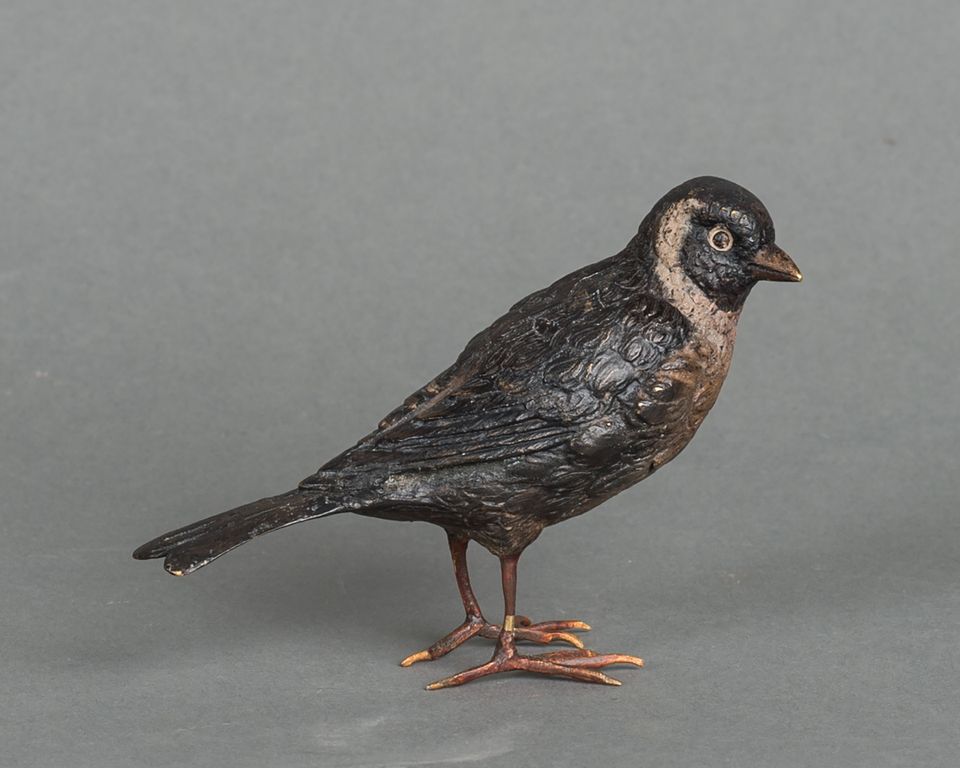 A charming multicoloured Vienna finch bird bronze late 19th century - image 3