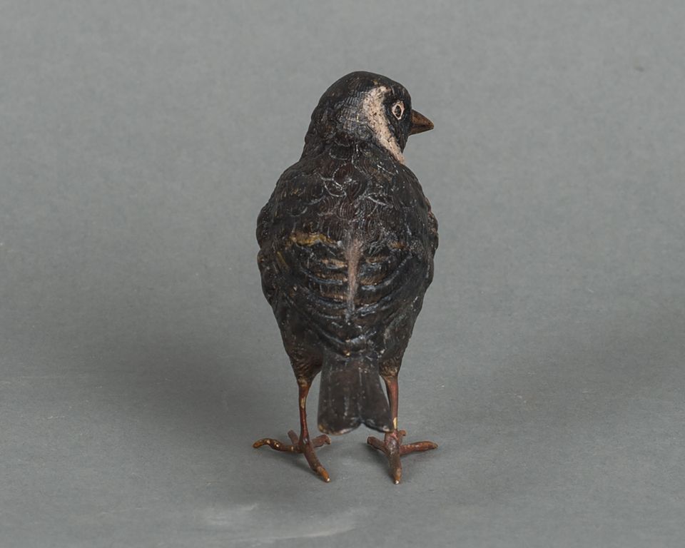 A charming multicoloured Vienna finch bird bronze late 19th century - image 4