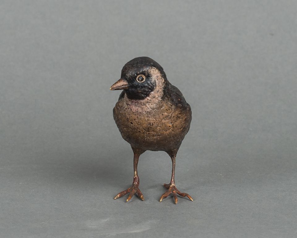 A charming multicoloured Vienna finch bird bronze late 19th century - image 5