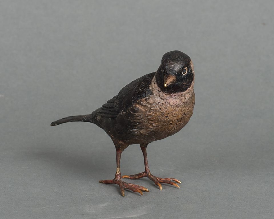 A charming multicoloured Vienna finch bird bronze late 19th century - image 2