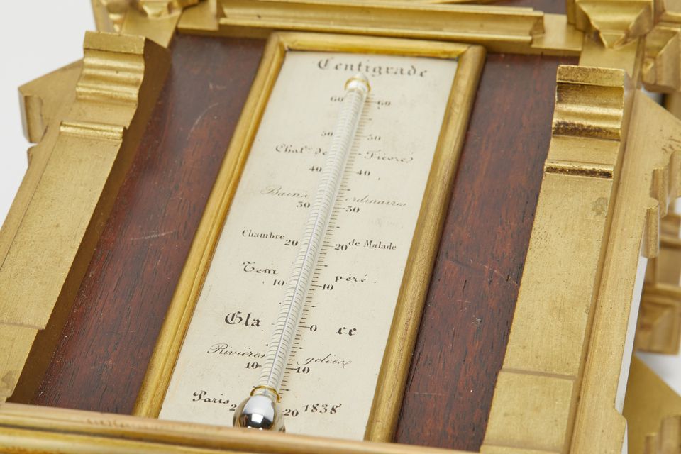 Rare 19th century fantasy wall clock - image 8