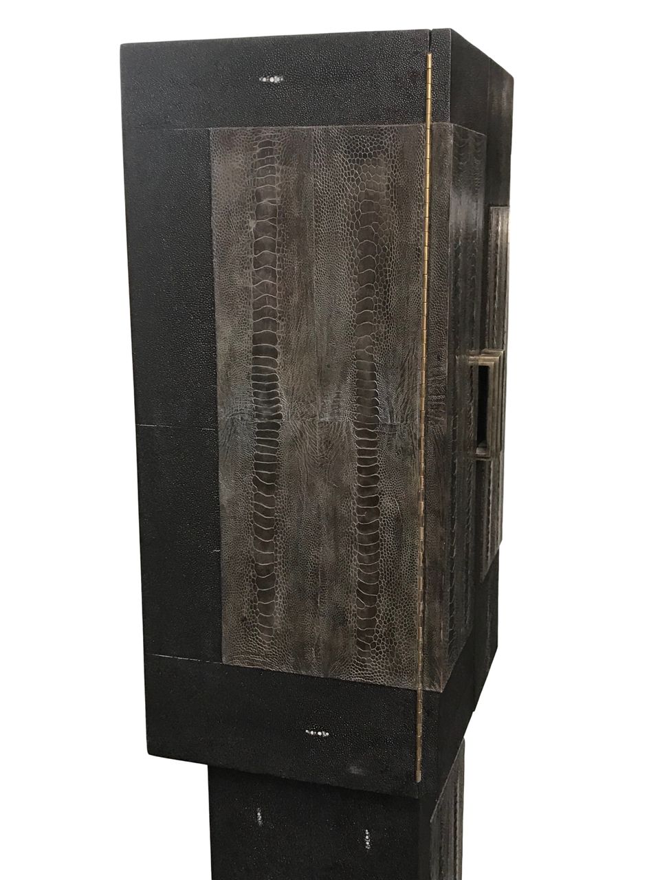 F07 R&Y Augousti Shagreen and Ostrich leather covered cabinet - image 6