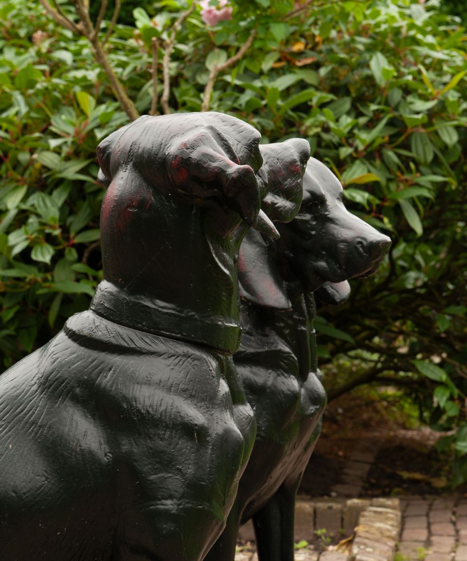 A Pair of French Life-Size Models of Hounds Entitled 'Deux Chiens Assis' - image 8