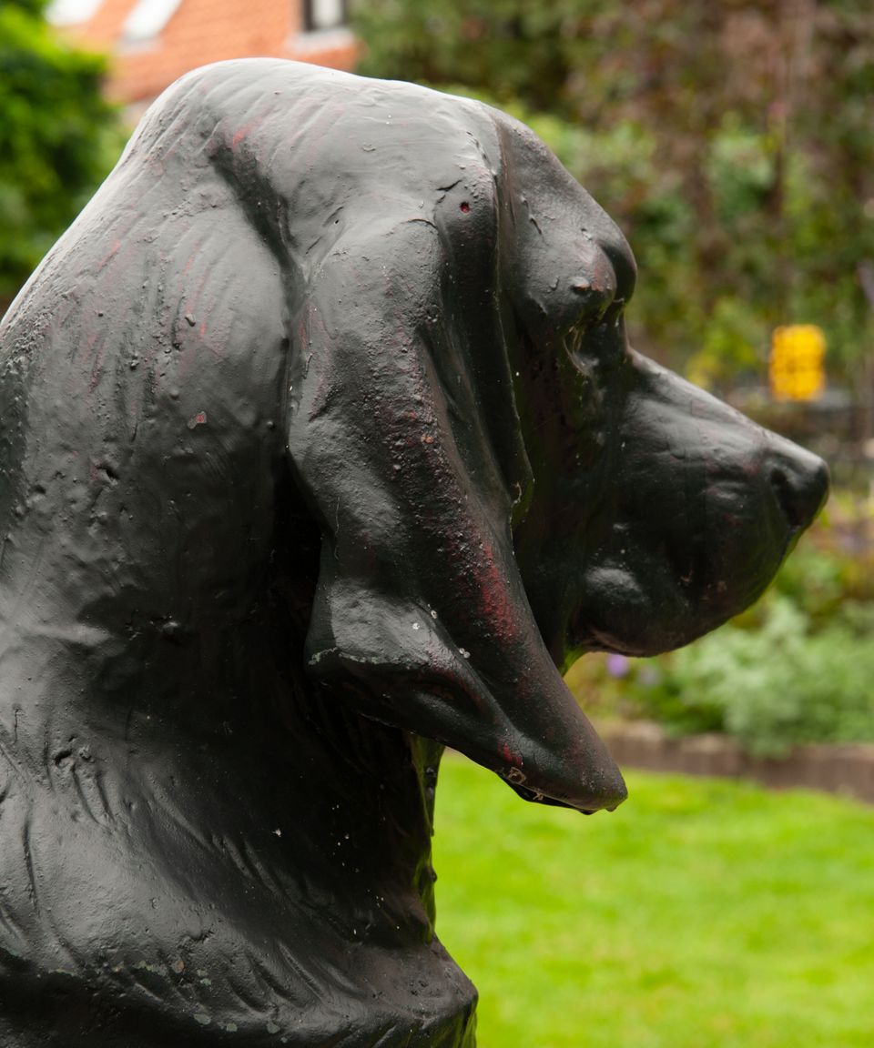 A Pair of French Life-Size Models of Hounds Entitled 'Deux Chiens Assis' - image 10